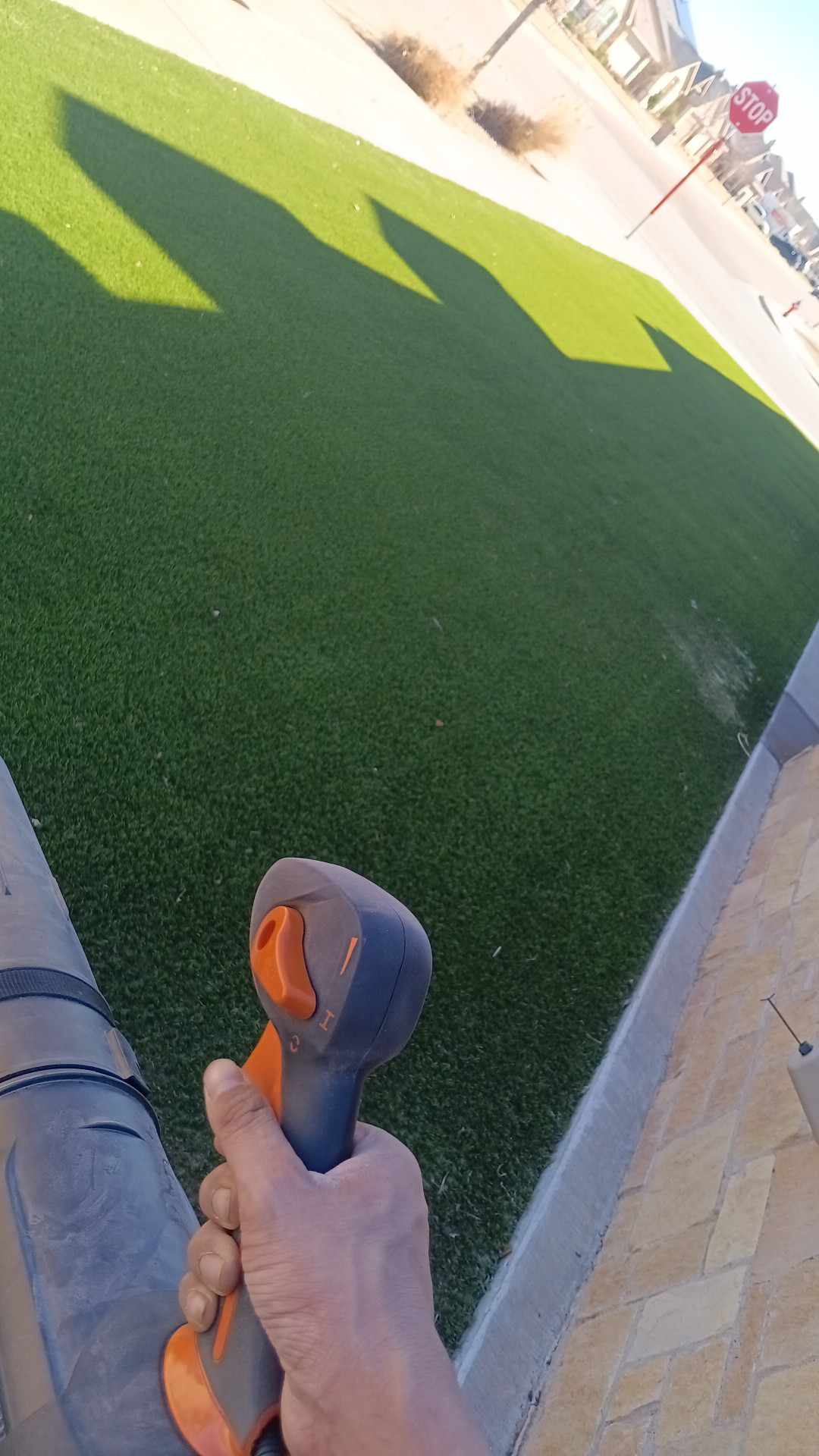 Neatly finished yard after a cut