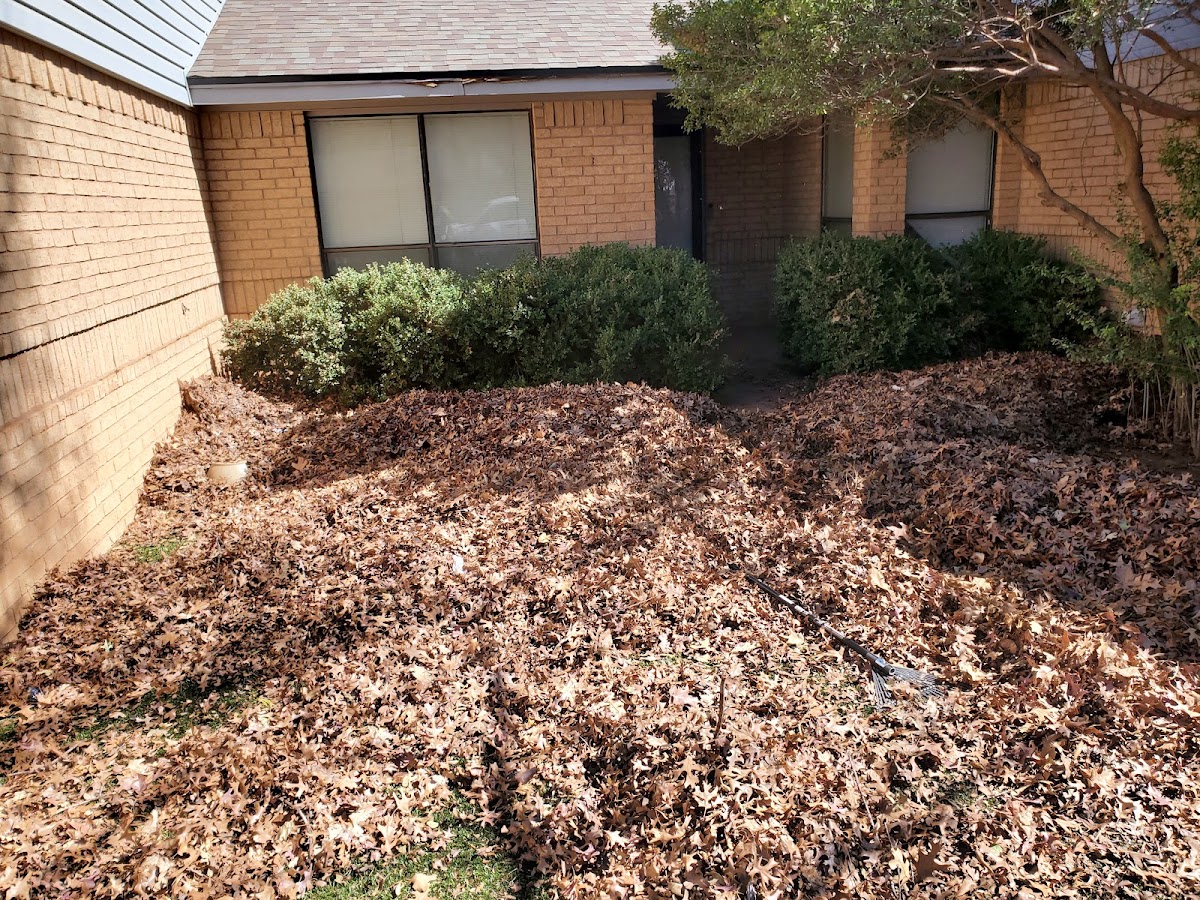 Flower bed buried under leaves before a clean-up
