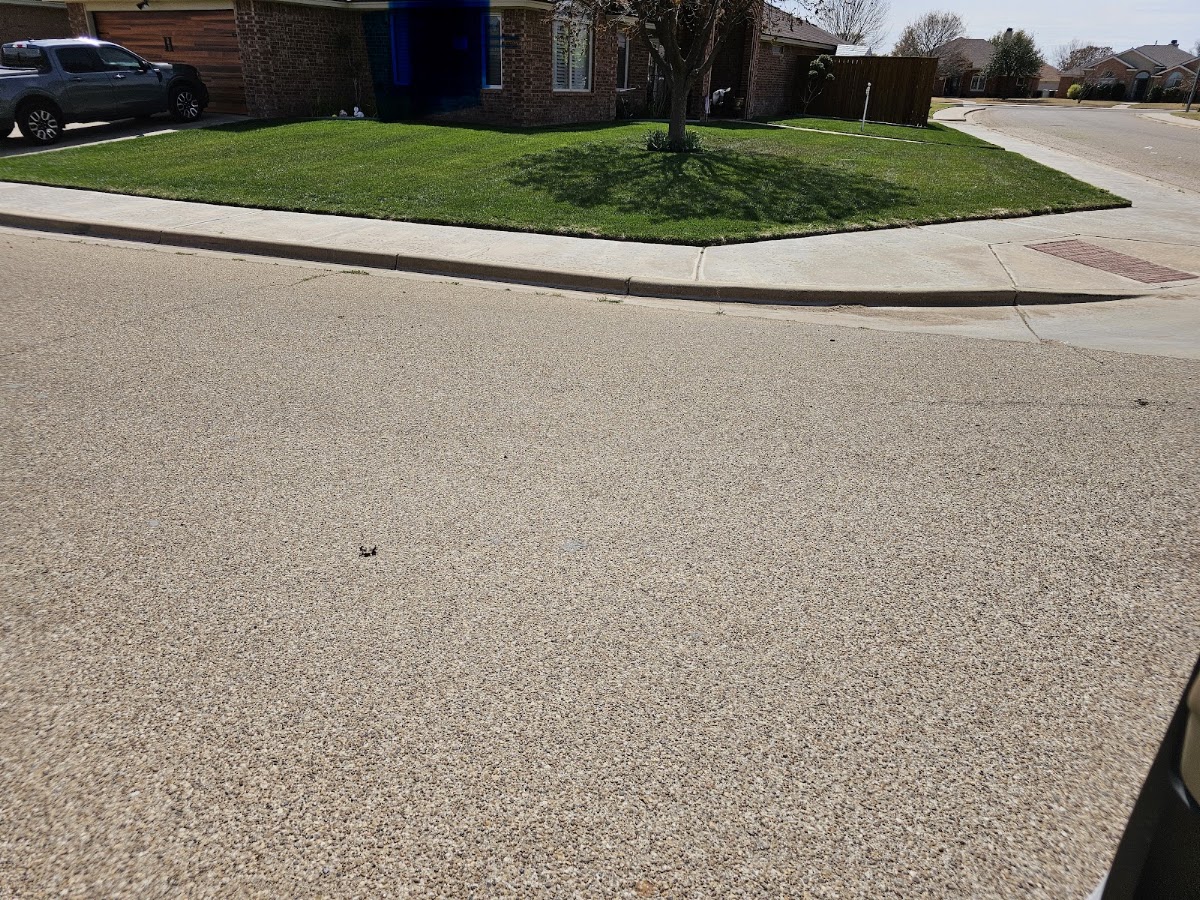 Finished corner lawn seen from the street